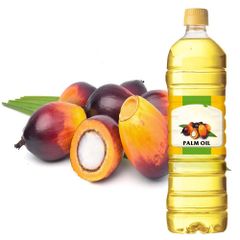 Top Grade Pure Refined Edible Fractionated Palm Kernel Oil 100% High Purity-FENICIA Brand 2-Year Shelf Life 25L Bulk Sup - Image 2
