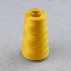 China 100% Polyester Sewing Threads 30/2 2000y-10000y Yards with Different Colors - Image 5