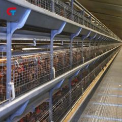 Battery Automatic Factory Made 2024 New Design Poultry Farm Layer Cage - Image 3