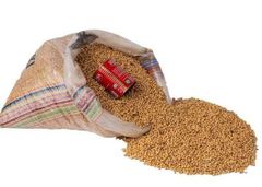 Organic Soya Beans - Image 1