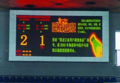 Indoor Bi Color DOT Matrix 7.62mm - Image 1