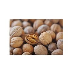 Walnuts bulk supply wholesale cheap price premium quality dry nuts – product photo 5, product detail gallery