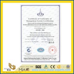 Type of Certification: ISO14001-2004 from yeyang stone factory certificate from Xiamen Yeyang Import & Export Co., Ltd.