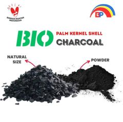 Palm Kernel Shell Charcoal – product photo 1, product detail gallery