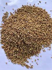 Sudanese Sesame Seeds - Image 1