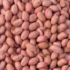 Groundnuts (Peanuts) whole and Raw Groundnuts (Peanuts), 50 Kg whole and Raw Groundnuts – product photo 5, product detail gallery