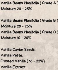 Vanilla Beans / Planifolia - Image 4