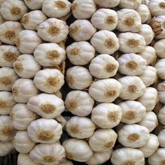 Top Selling Wholesale Garlic Premium Quality Bulk Supply Food Grade Ready to Ship Export - Image 4