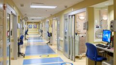 Clinic Interior Finish Options Vibrant Finish Scope Of Work Turnkey Solution Color Matching Matching Color Codes Design Compatibility Perfectly Gel With The - Image 6