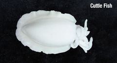 Frozen Cleaned Cuttlefish – Export Best Price - Image 1