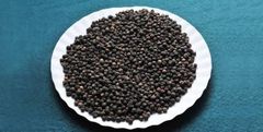 ceylon black pepper - Image 1