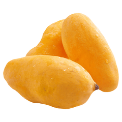 export fresh quality pakistani Mango Sindhri, Fresh Mango from Pakistan OEM ODM customization logo - Image 4
