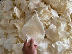 Premium Dried Fish Maw  – 100% Natural, Naturally Dried, Signature Betel Leaf Shape, Ready to export for Chinese cuisine - Image 2
