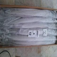 Ribon fish - Image 2