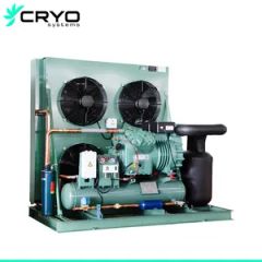 2HP Horizontal Condensing Unit World Famous Brand Compressor Unit for Cold Room - Guangzhou Cryo Systems Refrigeration Equipment Co., Ltd.