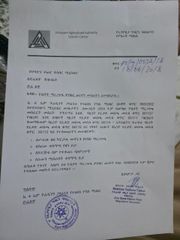 Phytosanitary Certificate certificate from Am star group trading plc