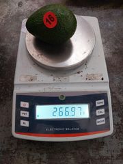 Hass Avocado – product photo 3, product detail gallery