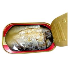 Canned Sardines in vegetable oil. - Image 5