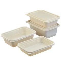 Eco Friendly Biodegradable Utensils Corn Starch Disposable Lunch Box - QINGDAO QUEENRE DEVELOPMENT CO., LTD