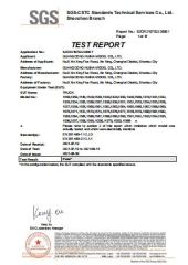 DSS certificate from Shantou Cy Hobby Toy Factory