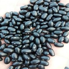 QUALITY BLACK/RED KIDNEY BEANS READY FOR EXPORT. WHATSAP +255787979235 - Image 2