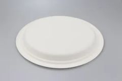 Disposable Bagasse Plate Biodegradable Compostable Sugarcane Tableware Plate - Image 3