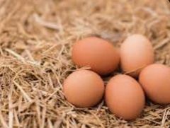 Chicken Eggs – product photo 3, product detail gallery