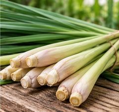Lemon grass Oil 70%  C.flexcous – product photo 2, product detail gallery