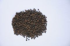 Black Pepper - Image 2