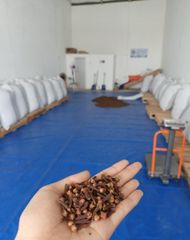 cloves lalpari indonesia - Image 3