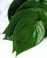 Betel Leaf - Image 1