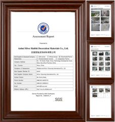 SGS Company certificated certificate of Anhui I-Sourcing International Co., Ltd. – certificate photo, supplier certificates section