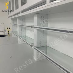 Customized Laboratory Work Benches Modern School Medical Chemical Biology Laboratory Bench - Image 3