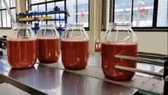 Automatic Jam, Ketchup Bottle Filling Production Line Origin China Model NO. QZ-GZ Structure Linear Packaging Bottle Trademark QSmart - Image 4