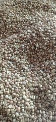 Java Arabica Green Beans Coffee G1 - Premium – product photo 1, product detail gallery