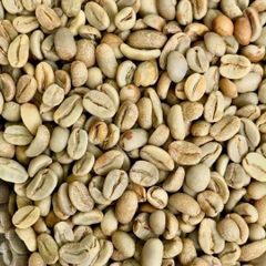 Robusta Green Coffee Beans - Image 3