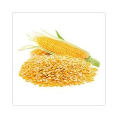 Premium grade yellow maize for export to inter-national markets - Image 1