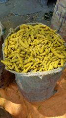 Turmeric finger double polished – product photo 1, product detail gallery