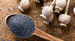 Poppy seed Purity 99.9% Origin Hungary Certifications Haccp Certification Eurofins Place of Origin Hungary Ingredients 100% poppy seed - Image 1