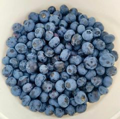 Premium Fresh Blueberries from South Africa for Exports! Class 1 export quality professional packing - Image 5