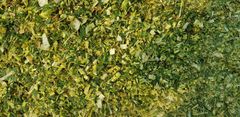 Corn Silage Quality A+ Grade Quality Packaging 850/Kg - 950/Kg - Image 1