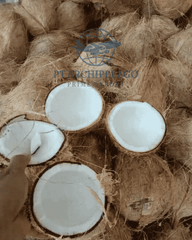 coconut mature / coconut old /semi husk coconut Color Brown Taste Coconut milk Shape good symmetric Ingredients 100% - Image 1
