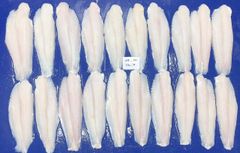 FROZEN PAGASIUS – product photo 2, product detail gallery
