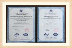 Certificate of Confirmity certificate from Zhengzhou Invech Machinery Co., Limited