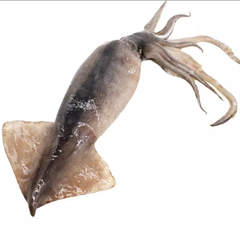 cheap Price Frozen Whole Loligo Squid (Seafood) Dried squid whole argentina illex squid - Image 1