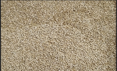Quinoa bold white - Image 1