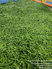 Green chilli - Image 4