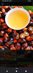 palm oil - Image 1