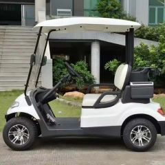 Custom Golf Cart Electric Car Golf Equipment Golf Trolley Service OEM Power 600-1700W Color Customized Battery 8V 6 - Image 6