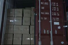 Loading Container certificate from LC UNITE CO., LTD